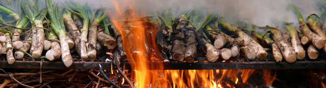 Calçots